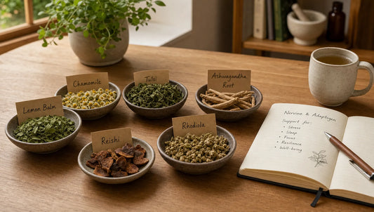 Nervines vs. Adaptogens: What’s the Difference?