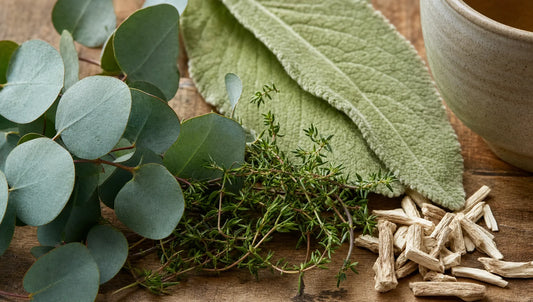 Eucalyptus, Thyme, Mullein & Marshmallow: Herbs for Breathing Support