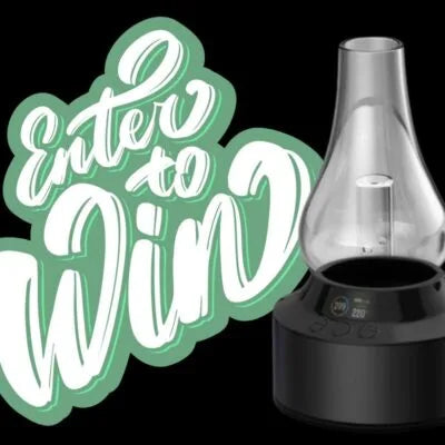 Not Your Average Black Friday Sale