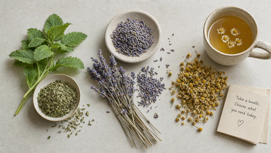 Lemon Balm vs. Lavender vs. Chamomile