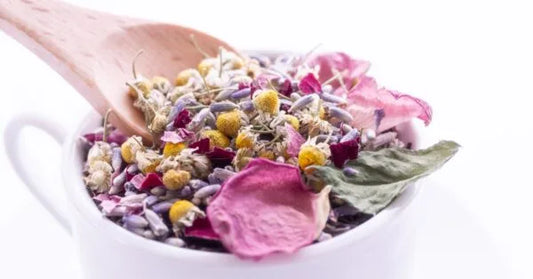 Unveiling the Harmony: The Intersection of Herbalism, Ayurveda, and Traditional Chinese Medicine