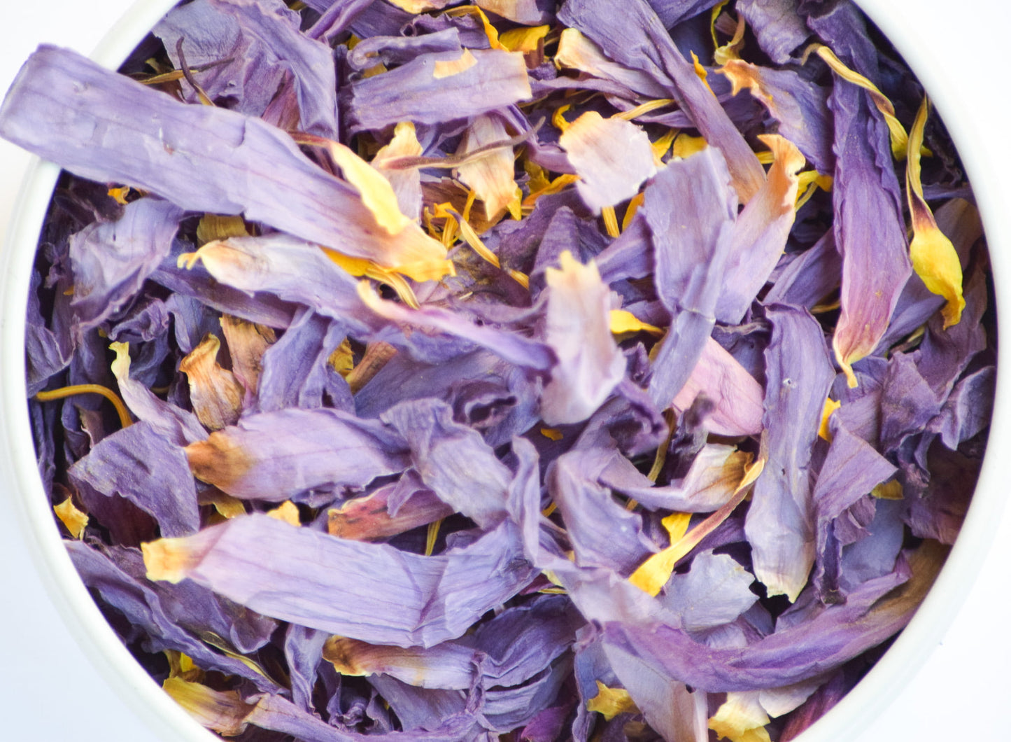 Bear Blend Blue Lotus Flower